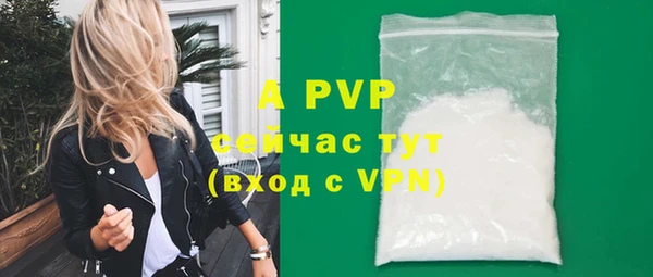 гашик Гусиноозёрск