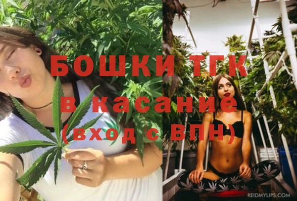 ALPHA PVP Гусь-Хрустальный