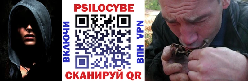 darknet как зайти  где продают   Канск  Галлюциногенные грибы Psilocybine cubensis 